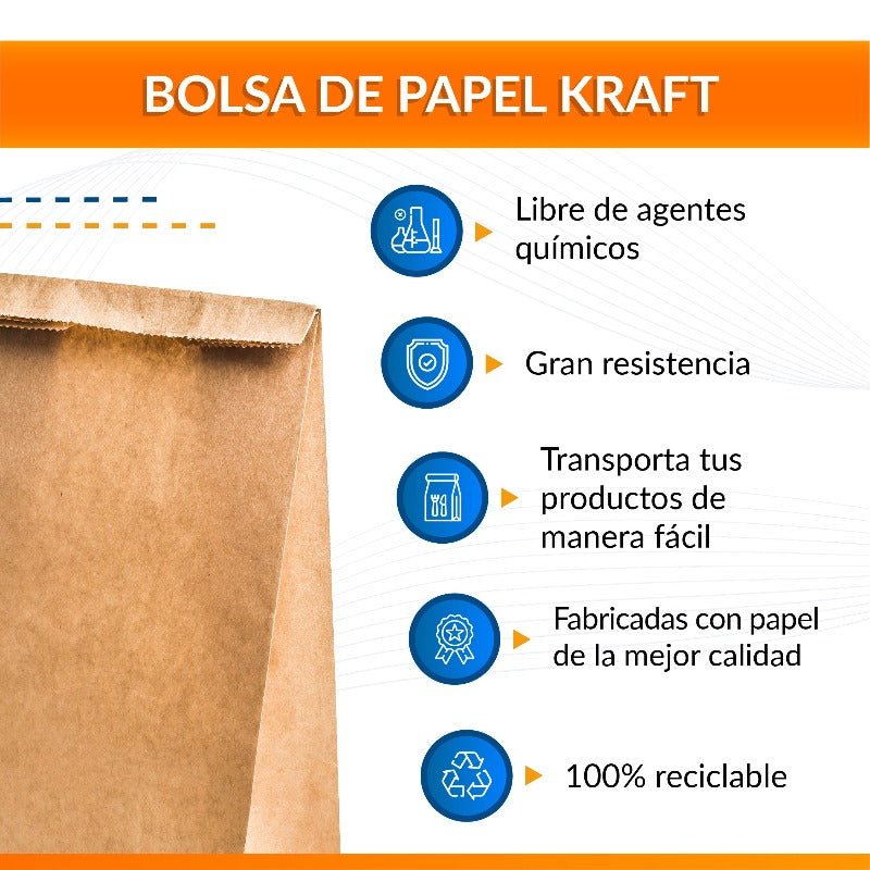 Bolsa Kraft #1